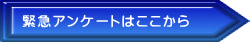 ً}AP[g͂